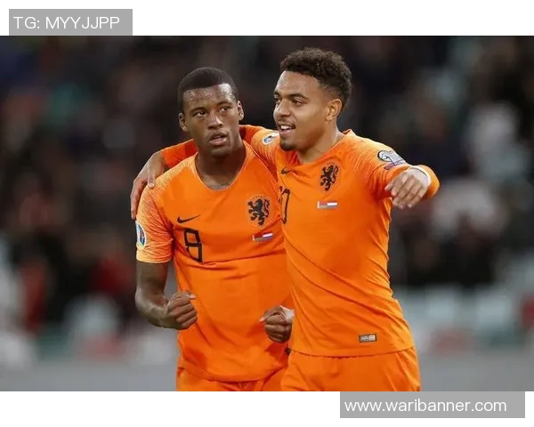 罗马尼亚与荷兰足球赛结果分析及精彩瞬间回顾