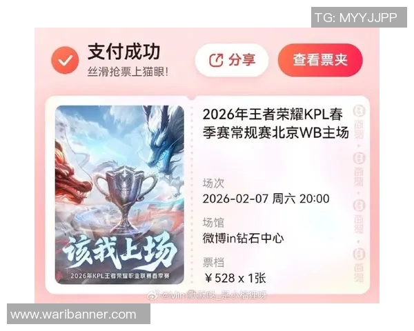 王者荣耀深度解析:WE战队选手个人能力的秘密与成长之路