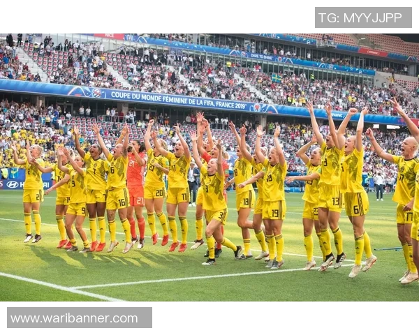 瑞典与法国足球对决竞彩推荐分析及投注策略分享