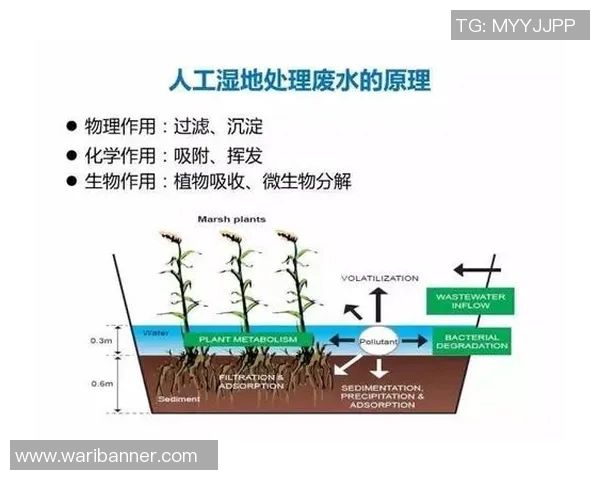 网球新手必看：轻松掌握基础战术与技巧的全面指南