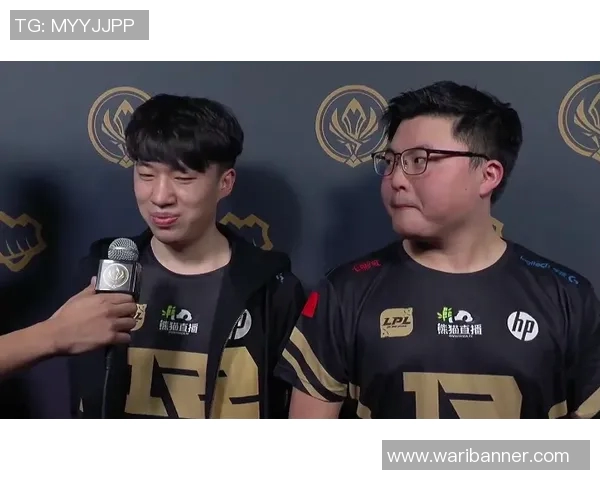 RNG战队实力深度剖析：各个位置对比与战术解析